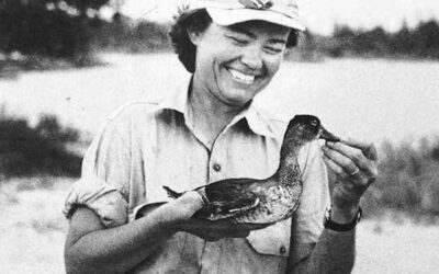 Seney National Wildlife Refuge Elizabeth Browne Losey