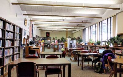 Prepare for the summer library closure