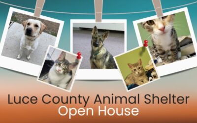 Luce County Animal Shelter hosting an open house