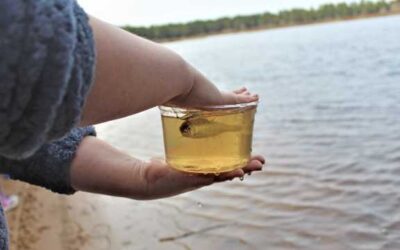 Salmon leave classroom, dive into Tahquamenon